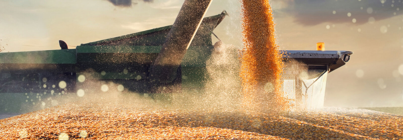 Large farm equipment processing grain